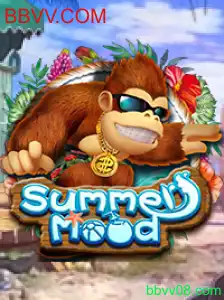 Descubra o Mundo Divertido de SummerMood